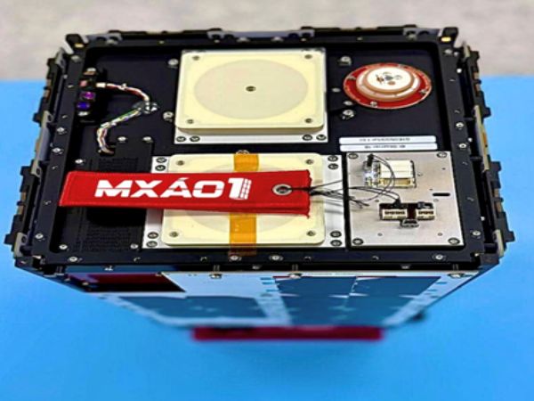 microsatelite-mxao-1